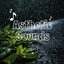 Aesthetic Sounds | A Sound Pack logo