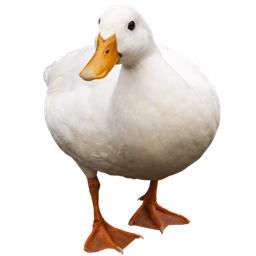 Duck Origin (Origins: Legacy) project image