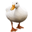 Duck Origin (Origins: Legacy) logo