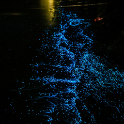 The Glowing Sea logo
