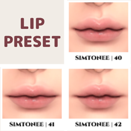 Lip Presets 40-42 logo