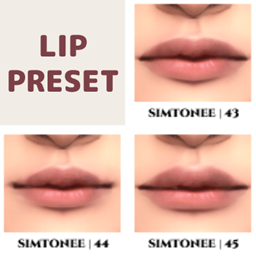 Lip Presets 43-45 logo