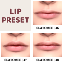 Lip Presets 46-48 logo