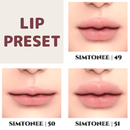 Lip Presets 49-51 project image