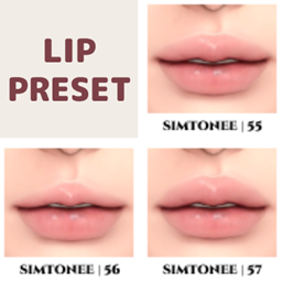 Lip Presets 55-57 project image