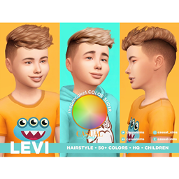 CasualSims - Levi Hairstyle Children (ONLY FOR COLOR SLIDER MOD) logo
