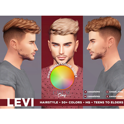 CasualSims - Levi Hairstyle (ONLY FOR COLOR SLIDER MOD) logo