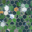 One day packs-The Hex Fields logo