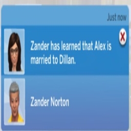 Ask about Relationship Status Interaction By KiaraSims4Mods | Chinese Translation