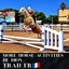 More Horse Activities de Dion - Trad FR logo