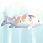 Animated Koifish|sachiro UI logo