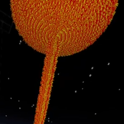 The Relics logo