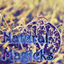 Natural Magicks logo
