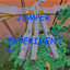 Jumper Experiment logo