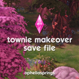 townie makeover save file logo