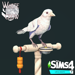 White Crows By SonozakiSisters | Chinese Translation