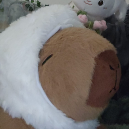 Capibarita