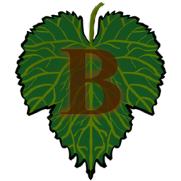 BelorisRP project image