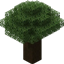 a 99 Nights in The Forest Map logo