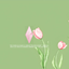 [Miss-K.Lo] Growing Together -Loading screen logo