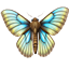 MothBane logo