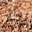 Mulch Additions logo