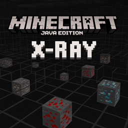 Xray Java logo