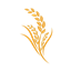 Chunk Prefetcher logo