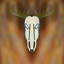shaman and chieff logo