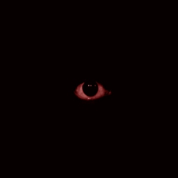 he's Palacios A madman experience project image