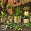 Agreste Plants 🏜️ logo