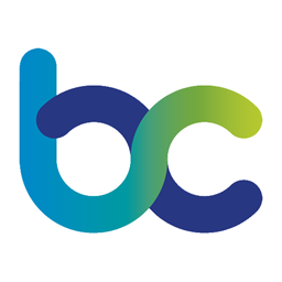 BjorkCraft logo