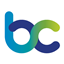 BjorkCraft logo