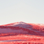 sky Landscape Infrared vision logo