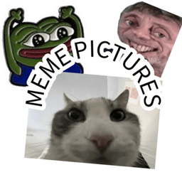 Meme Pictures logo
