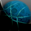 Celestial Weave logo