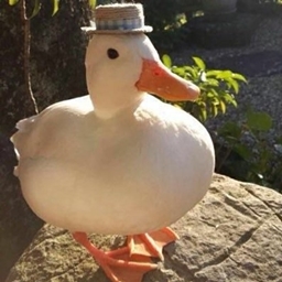Ducky Companion project image
