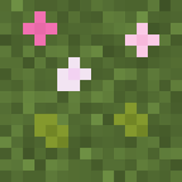 Beautifully Better Grass project image