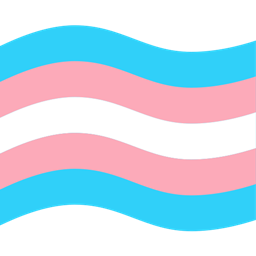 Transfem Origin logo