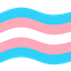 Transfem Origin logo