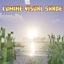 Lumine Visual Shade logo