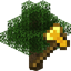 TreeCap logo