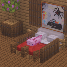 Time Nap