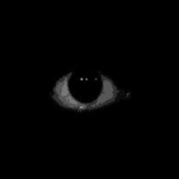 GODPLEASE logo