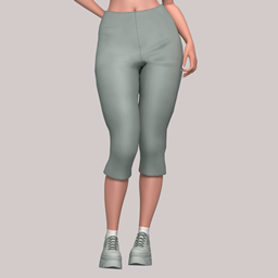 Capri Pants project image