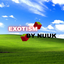 Exotism logo