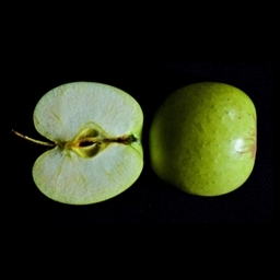 forbidden fruits logo