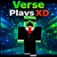 Fps Boost Pack By Verse Playz XD logo
