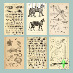 Zoology Posters logo