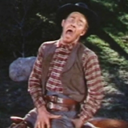 Wilhelm Scream Revisited project image